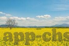 麻豆影视文化传媒app下载入口-解锁次元视界，探索麻豆影视文化传媒App的多元魅力