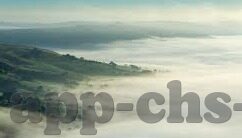 免费强视频一区二区-探索网络视频的多元化选择，一区二区的免费资源