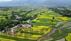 人妻超碰-探索人妻角色的现代解读，爱与责任的交织