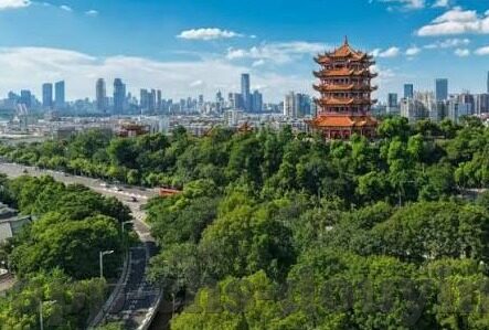 糖心app最新版本-解锁新鲜体验，糖心App最新版本深度探索