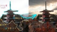 糖心vlog永久激活码-探索免费获取套路，理解糖心Vlog永久激活码的真正价值