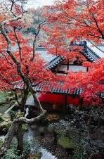 亚洲av日韩精品-探索亚洲AV日韩精品的多元魅力