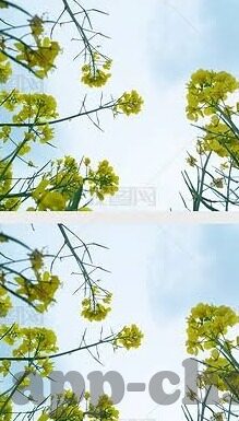 追妻三人行小品-追妻三人行，笑中带泪的都市爱情小品